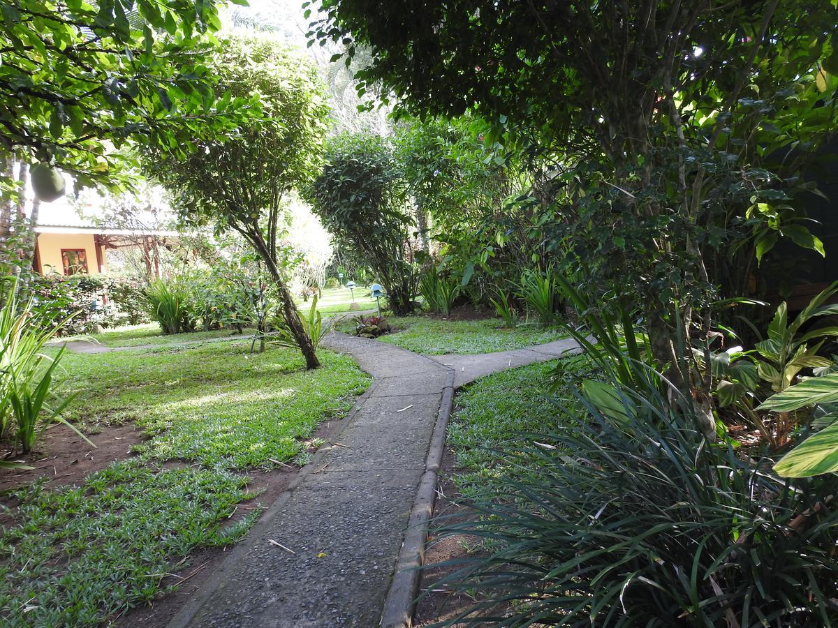 Playa Negra Guesthouse Cahuita Eksteriør bilde