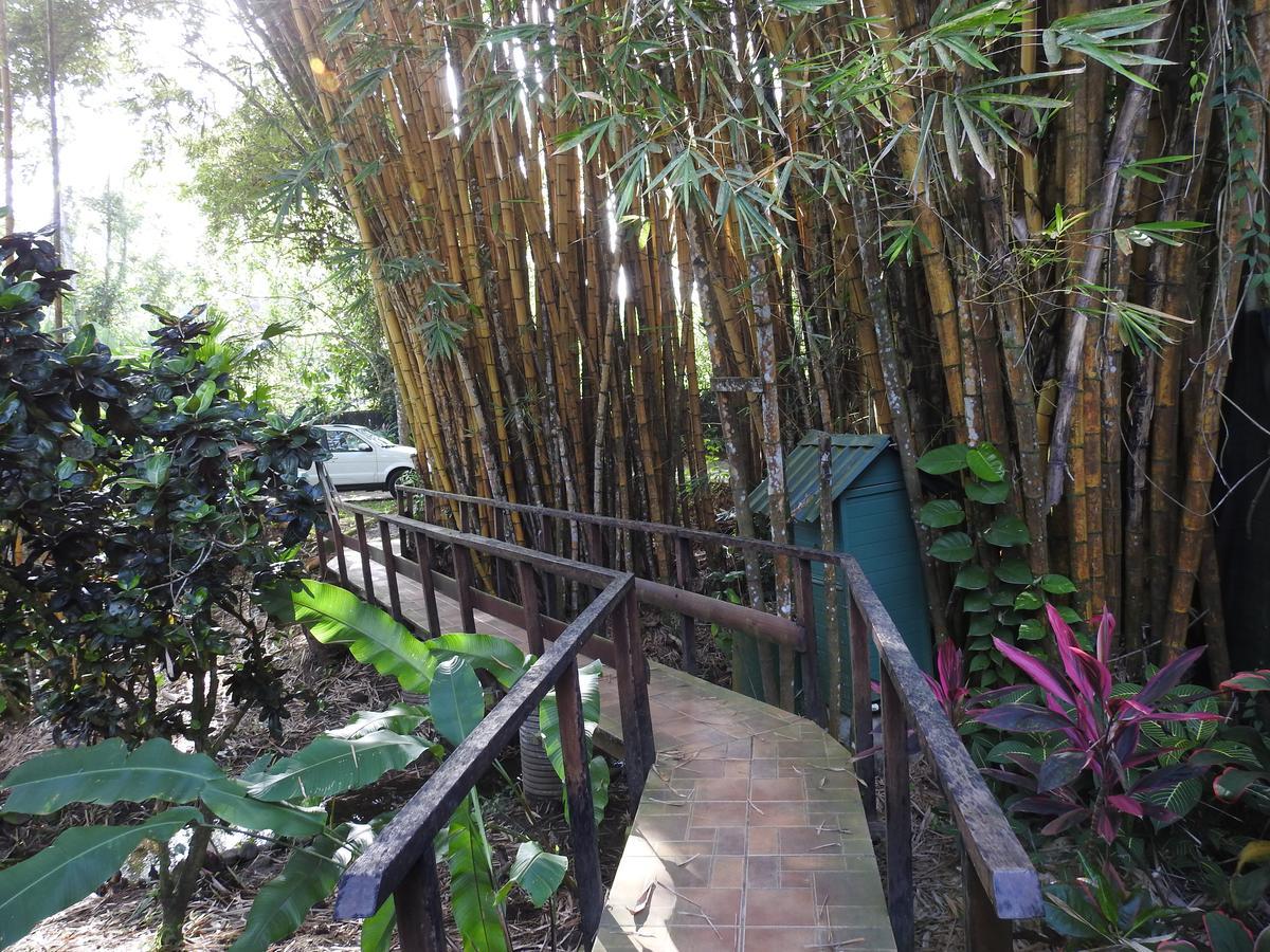 Playa Negra Guesthouse Cahuita Eksteriør bilde