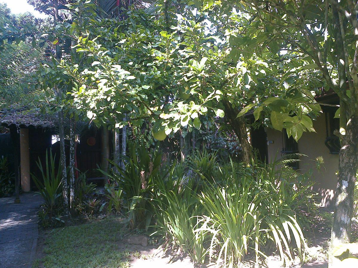 Playa Negra Guesthouse Cahuita Eksteriør bilde