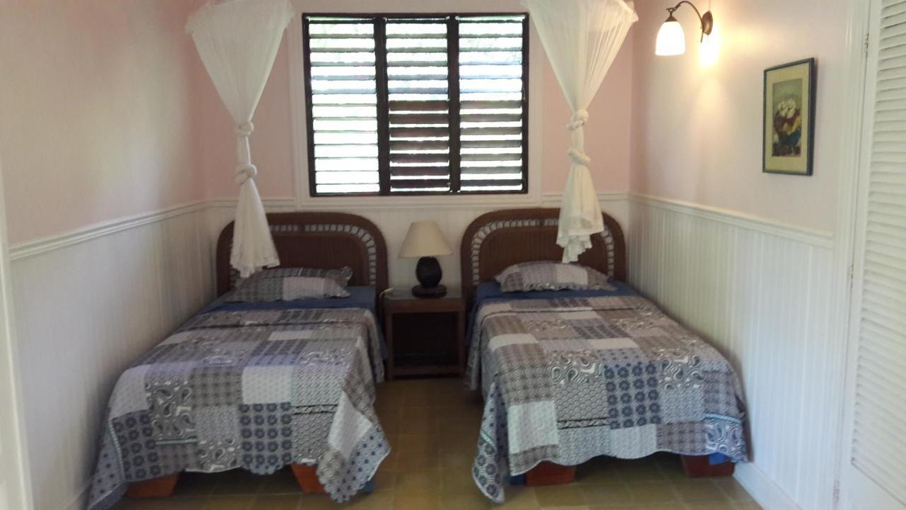 Playa Negra Guesthouse Cahuita Eksteriør bilde